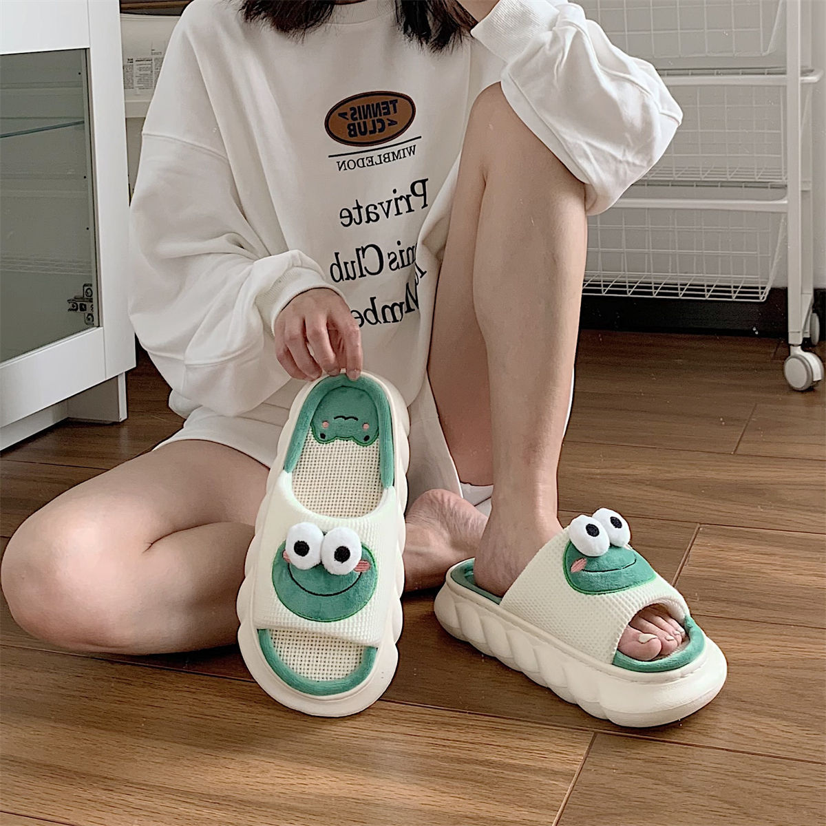 Cute Frog Slides